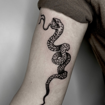 Snake arm tattoo for a male client