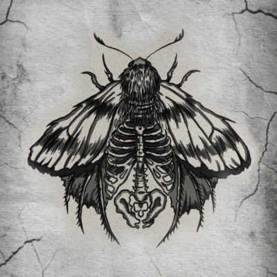 Moth tattoo design