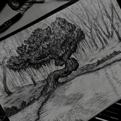 A pencil drawing of a weeping willow tree in a forest meadow with a lake