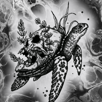 Sea turtle with a skull digital design