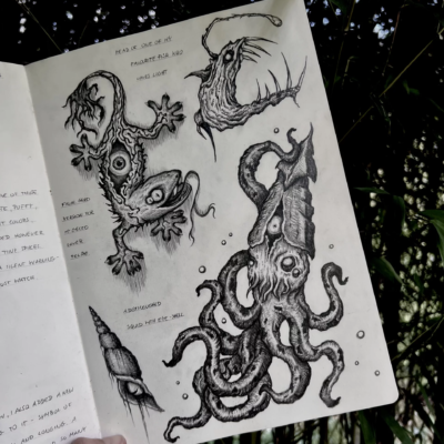 Sea creatures and a gecko drawing